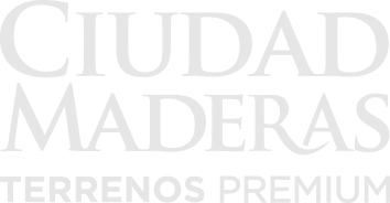 Ciudad Maderas